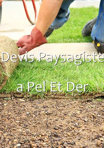 Devis Paysagiste a Pel Et Der