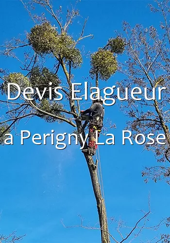 Devis Elagueur a Perigny La Rose