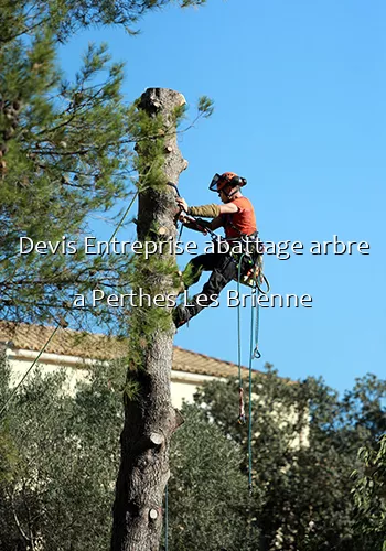 Devis Entreprise abattage arbre a Perthes Les Brienne