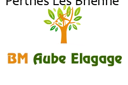 elagage-bm-elagueur