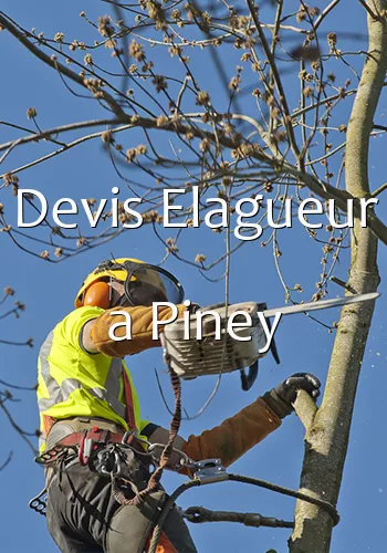 Devis Elagueur a Piney