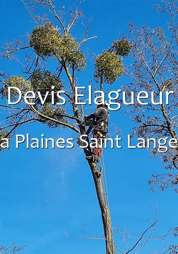 Devis Elagueur a Plaines Saint Lange