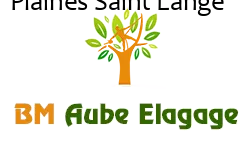 elagage-bm-elagueur