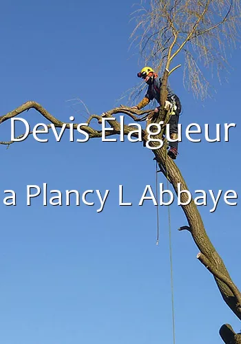 Devis Elagueur a Plancy L Abbaye