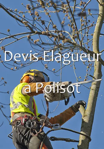 Devis Elagueur a Polisot