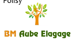 elagage-bm-elagueur