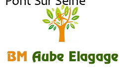 elagage-bm-elagueur