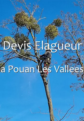 Devis Elagueur a Pouan Les Vallees