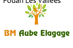 elagage-bm-elagueur