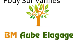 elagage-bm-elagueur