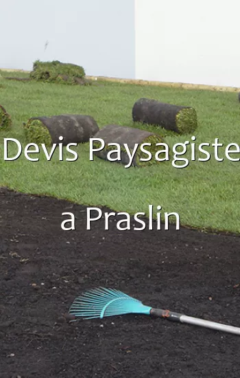 Devis Paysagiste a Praslin