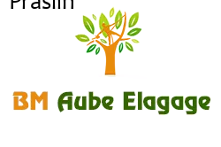 elagage-bm-elagueur