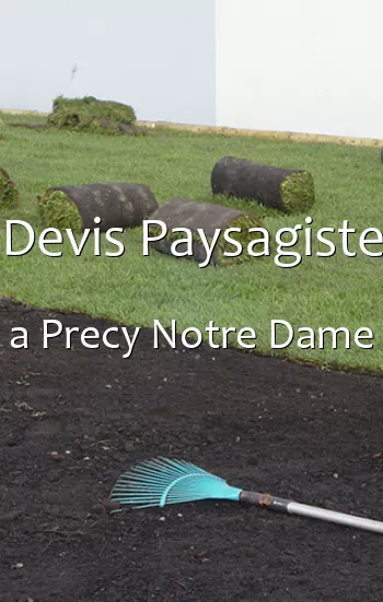 Devis Paysagiste a Precy Notre Dame