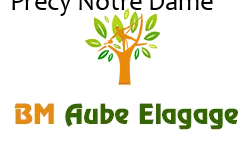 elagage-bm-elagueur