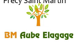 elagage-bm-elagueur