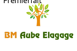 elagage-bm-elagueur