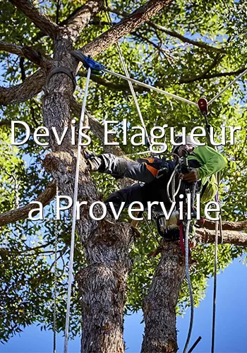 Devis Elagueur a Proverville