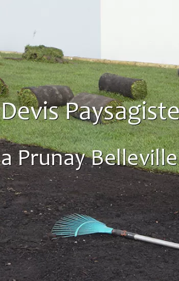 Devis Paysagiste a Prunay Belleville