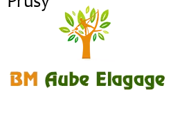 elagage-bm-elagueur