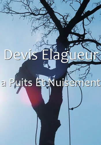 Devis Elagueur a Puits Et Nuisement