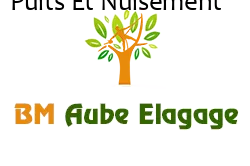 elagage-bm-elagueur