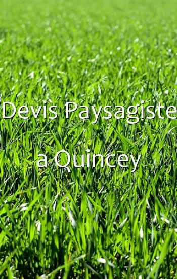 Devis Paysagiste a Quincey