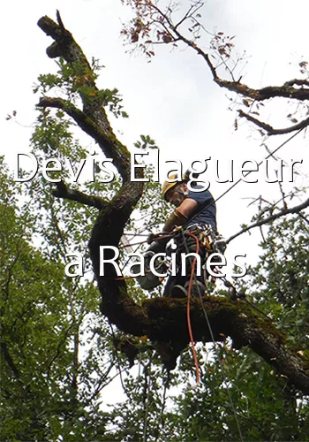 Devis Elagueur a Racines