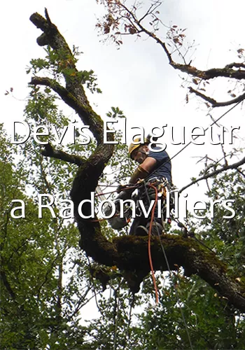 Devis Elagueur a Radonvilliers