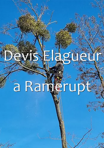 Devis Elagueur a Ramerupt