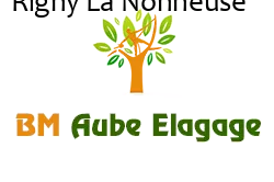 elagage-bm-elagueur