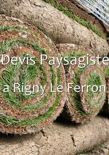 Devis Paysagiste a Rigny Le Ferron