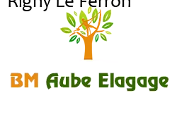 elagage-bm-elagueur