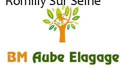 elagage-bm-elagueur