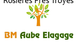 elagage-bm-elagueur