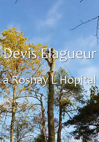 Devis Elagueur a Rosnay L Hopital