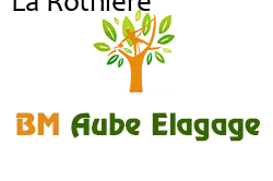 elagage-bm-elagueur