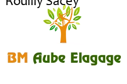 elagage-bm-elagueur