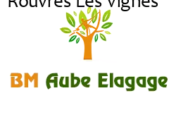 elagage-bm-elagueur