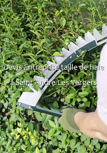 Devis Entreprise taille de haie a Saint Andre Les Vergers