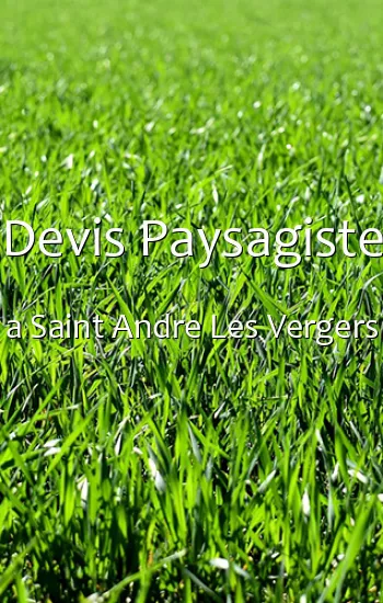 Devis Paysagiste a Saint Andre Les Vergers