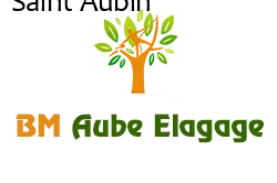 elagage-bm-elagueur