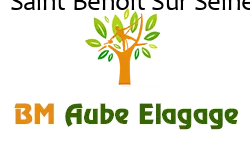 elagage-bm-elagueur