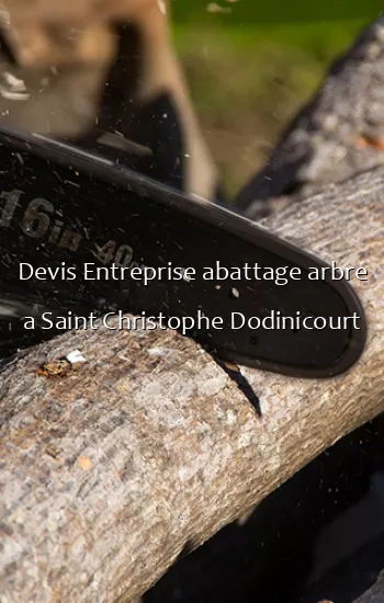 Devis Entreprise abattage arbre a Saint Christophe Dodinicourt