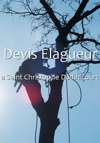 Devis Elagueur a Saint Christophe Dodinicourt