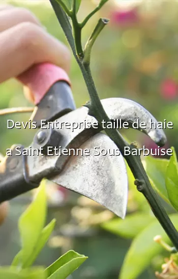 Devis Entreprise taille de haie a Saint Etienne Sous Barbuise