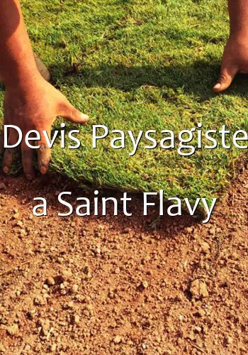 Devis Paysagiste a Saint Flavy