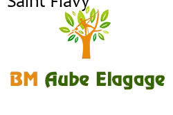 elagage-bm-elagueur