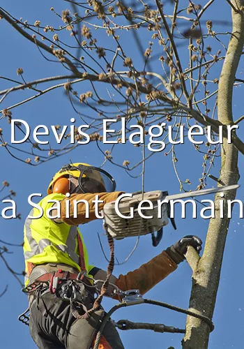 Devis Elagueur a Saint Germain