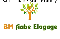 elagage-bm-elagueur