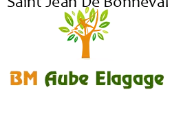 elagage-bm-elagueur